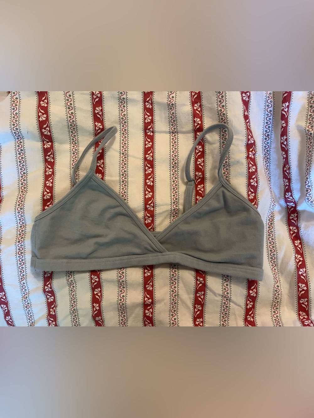 Brandy Melville Light Blue Triangle Bralette